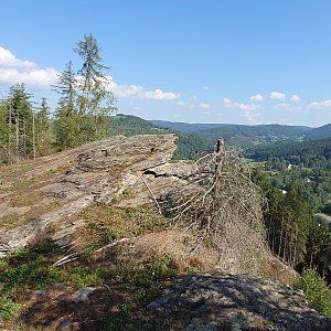 Nojby na vrcholu Hradiště S (11.9.2023 11:16)