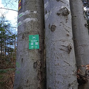 Michal Heczko na vrcholu Konihlava (4.4.2024 16:23)