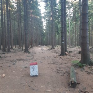 ZdenkaV na vrcholu Zadní hora (13.8.2025 7:25)