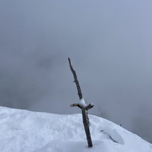 Tereza na vrcholu Griesskegerl (11.11.2023 11:00)
