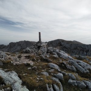 Badger na vrcholu Đevigrad (24.10.2023 14:49)