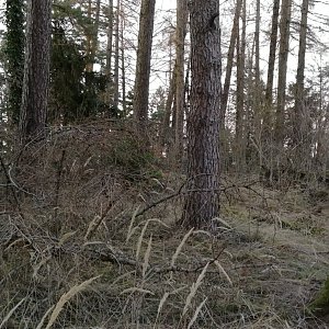 Vladimír Grančay na vrcholu Starý háj (19.12.2023 16:00)