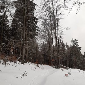 ZdenkaV na vrcholu Čuboňov (18.1.2022 12:37)