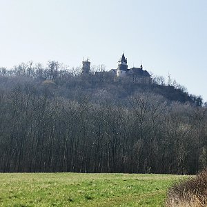 Hana na vrcholu Doubravská hora (10.4.2023 10:17)