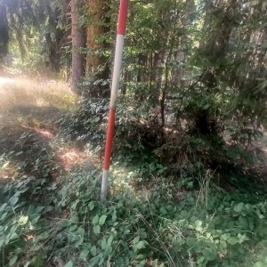 PA!WELL na vrcholu Kosák (9.8.2025 13:50)