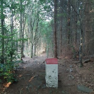 ZdenkaV na vrcholu Kovadlina JZ (13.8.2025 18:36)