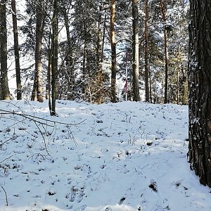 Vladimír Grančay na vrcholu Pálenina (11.1.2024 12:52)