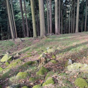 Mertelici na tripu na vrcholu Žákův kopec (21.4.2025 8:30)