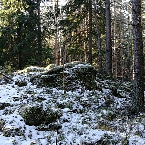 Vladimír Grančay na vrcholu Skelný vrch - V vrchol (20.1.2024 14:12)