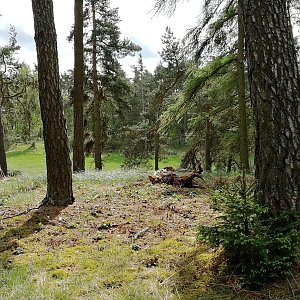 Vladimír Grančay na vrcholu Dubičí - S vrchol (19.4.2024 12:51)