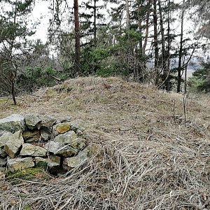 Vladimír Grančay na vrcholu Na Barborce (2.2.2024 13:30)