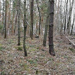 Vladimír Grančay na vrcholu Skalka - SZ vrchol II (2.2.2024 15:17)