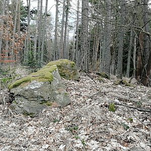 Vladimír Grančay na vrcholu Bičoňovec (8.2.2024 15:08)