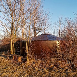 Šárka na vrcholu Kamenice (5.3.2025 16:51)