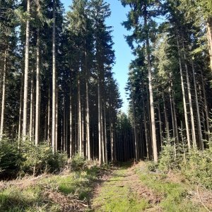 ZdenkaV na vrcholu Klínový vrch  (14.8.2025 7:45)