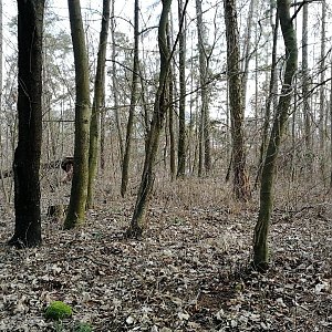 Vladimír Grančay na vrcholu Hůrka (15.2.2024 15:14)