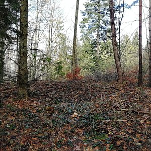 Vladimír Grančay na vrcholu Kamýky (17.2.2024 13:02)