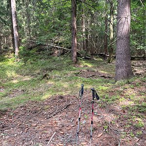 Radka D na vrcholu Mazance SV (31.8.2024 12:00)