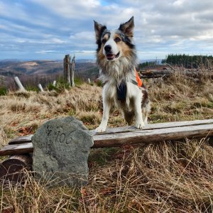Jiří Králík na vrcholu Marie (7.12.2025 13:38)