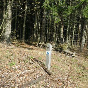 ZdenkaV na vrcholu Hármashatár-hegy (15.3.2024)