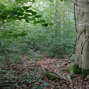 Vladimír Grančay na vrcholu Zrcadlová (8.8.2024 17:45)