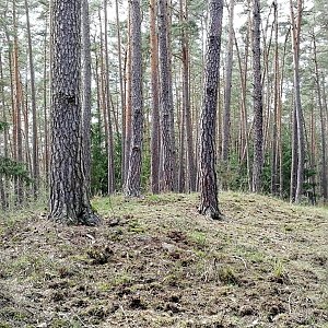 Vladimír Grančay na vrcholu Kůstrý vrch (27.3.2024 12:31)