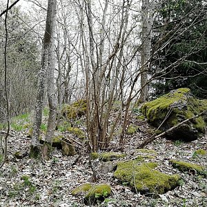 Vladimír Grančay na vrcholu U Lipky - S vrchol (10.4.2024 12:36)