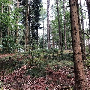 Anežka Boříková na vrcholu Vysoká - JV vrchol (10.9.2024 16:56)