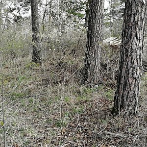 Vladimír Grančay na vrcholu U Malenic (4.4.2024 11:13)