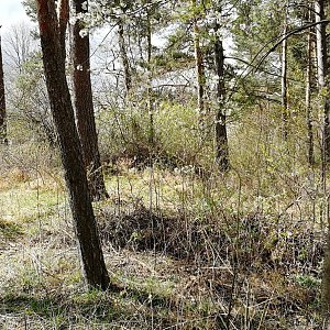 Vladimír Grančay na vrcholu U Malenic (4.4.2024 11:27)