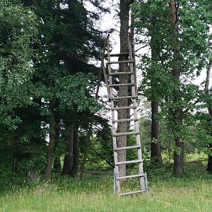 Marcela Zahradilová na vrcholu Vrchhůra SV (7.7.2024 12:19)