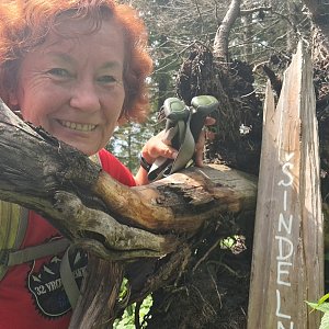 Horalka Anička na vrcholu Šindelná (31.5.2024 13:24)