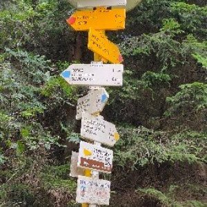 Tapírek na vrcholu Šindelná (29.8.2025 10:05)