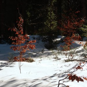 Bouřka na vrcholu Reifenspitz (17.2.2025 10:21)