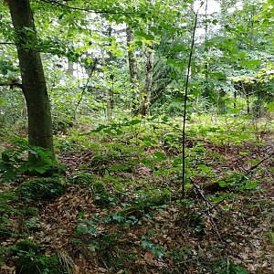 Vladimír Grančay na vrcholu U Líbala (8.8.2024 12:55)