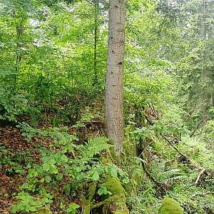 Vladimír Grančay na vrcholu Korunáč - S vrchol (26.5.2024 11:46)