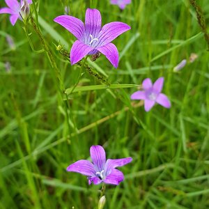 Moravskoslezské Beskydy