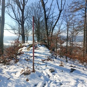 Šluknovská pahorkatina