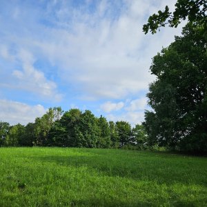 Marcela Kubíčková na vrcholu Skalní vrch (29.7.2025 8:30)