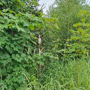 Marcela Zahradilová na vrcholu Vrchhůra (7.7.2024 13:11)