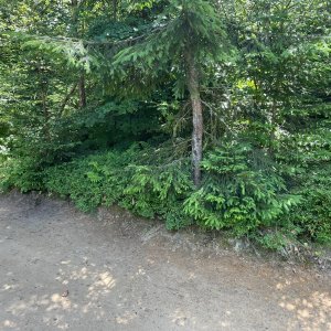 René Arendacký na vrcholu Grúnik / Syhła (24.7.2025 23:12)