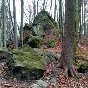 Jiřina na vrcholu Malé Komínky (22.12.2024 13:29)