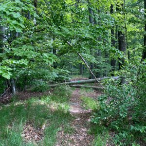 Ivana a Petr Kadovi na vrcholu Malé Komínky (17.5.2025 10:45)