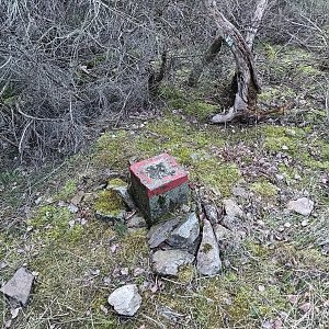 VěrkaN na vrcholu Drkolná (9.3.2024 17:41)