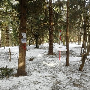Vladimír Grančay na vrcholu Šerlich (18.3.2023 9:38)