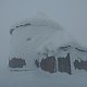 Manjula na vrcholu Sněžka (18.3.2019 13:51)