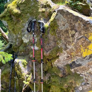 Radka D na vrcholu Ohrada - J vrchol (14.6.2025 11:54)