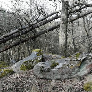 Vladimír Grančay na vrcholu Brousov (9.3.2025 15:08)