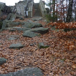 Betička na vrcholu Terezínka (17.11.2012 10:38)
