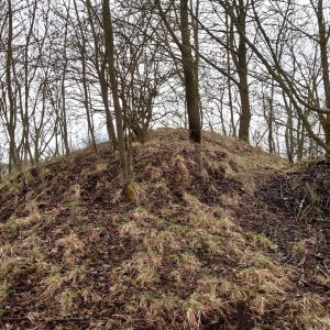 Nojby na vrcholu Krásný vrch (31.3.2025 12:24)